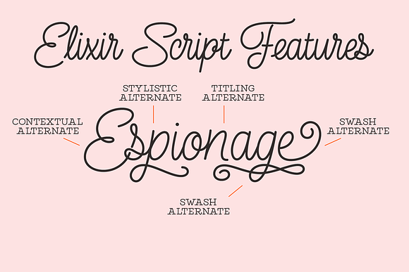 Elixir 11 Fonts Bundle in Display Fonts - product preview 10