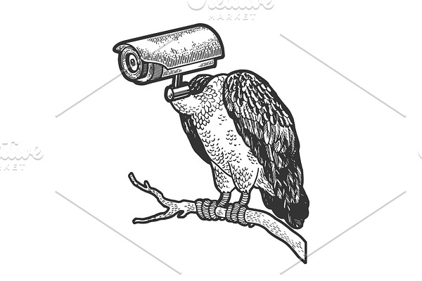Vulture surveillance camera head