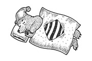 Cartoon sleeping bear sketch vector