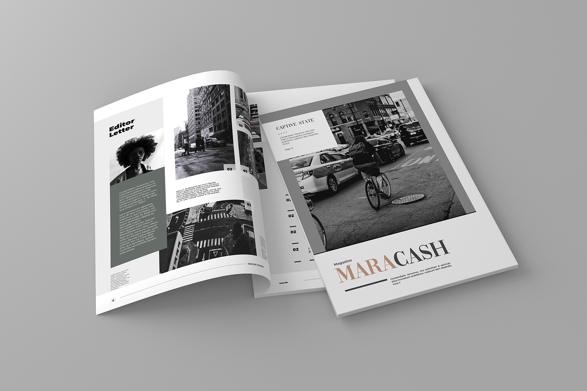 Maracash - Magazine Template in Magazine Templates - product preview 8