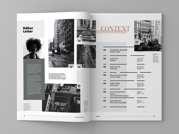Maracash - Magazine Template in Magazine Templates - product preview 2