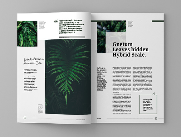 Nature Vegetico - Magazine Template in Magazine Templates - product preview 5
