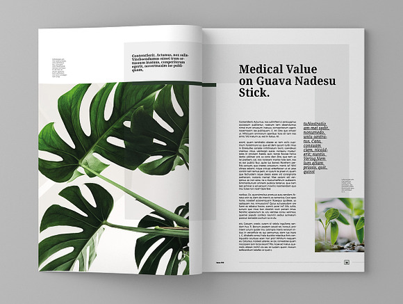 Nature Vegetico - Magazine Template in Magazine Templates - product preview 8