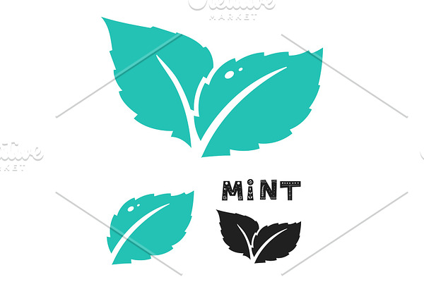 Blue mint leave icon on white. Mint