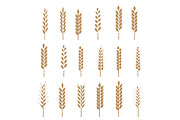 Cereals icon set with rice, wheat