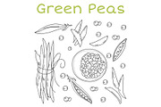 Pea pods and pods vector