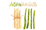 Vegetables. Asparagus green sprouts