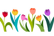 Color vector tulips isolated on