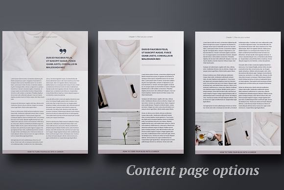 eBook creation kit InDesign template in Brochure Templates - product preview 4