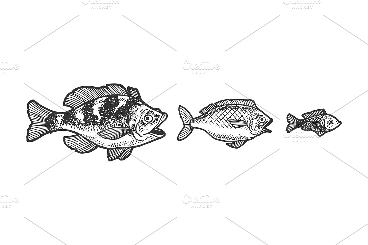 Three fish try swallow each other in Illustrations - product preview 8