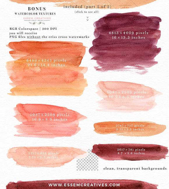 Orange Pink Fall Watercolor Flowers in Illustrations - product preview 11