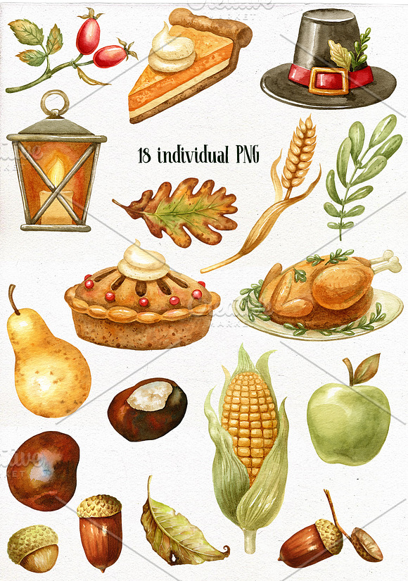 Thanksgiving watercolor Bundle. in Illustrations - product preview 8