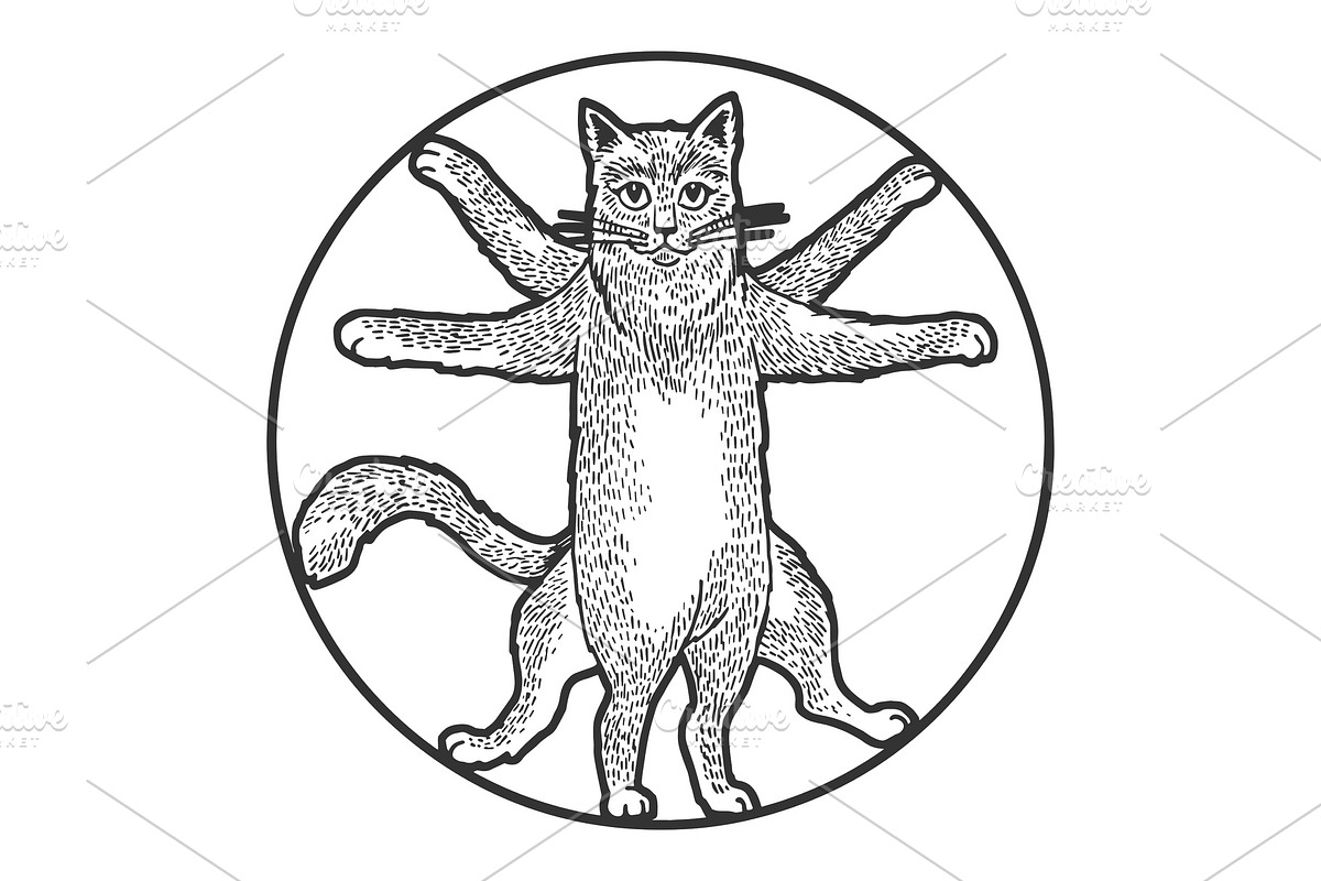 Vitruvian Cat sketch engraving in Illustrations - product preview 8