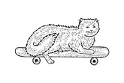 Cat on skateboard sketch engraving