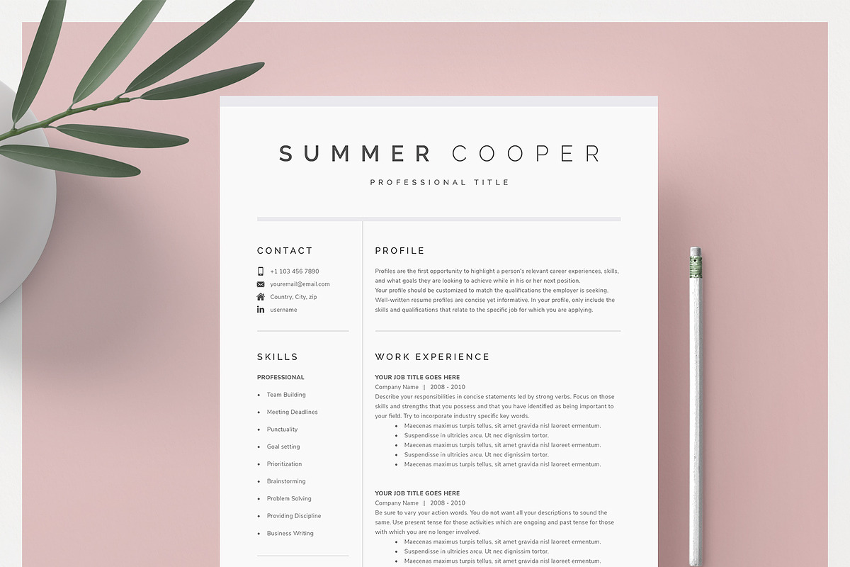 Resume Template Kit in Resume Templates - product preview 8