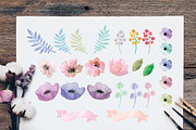 Watercolor Flower Set