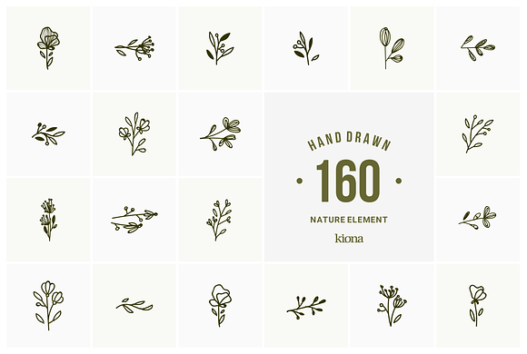 hand drawn natural element in Illustrations - product preview 2