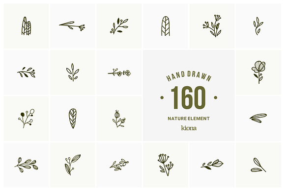hand drawn natural element in Illustrations - product preview 3