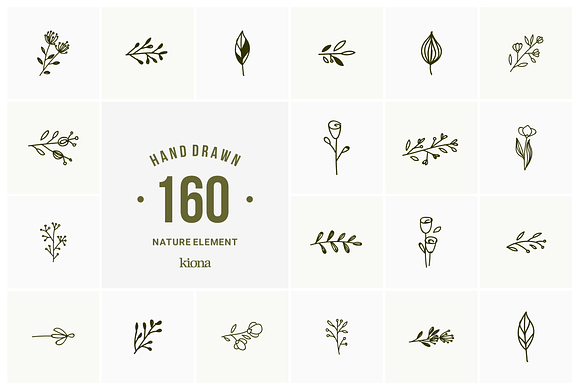 hand drawn natural element in Illustrations - product preview 4