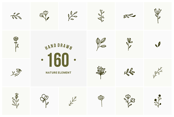 hand drawn natural element in Illustrations - product preview 5