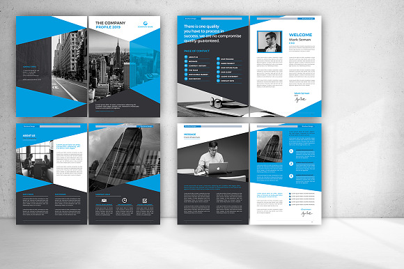 Company Profile Brochure in Brochure Templates - product preview 13