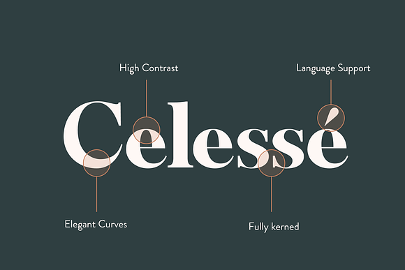 Celesse - Classic Font + Logos in Serif Fonts - product preview 5