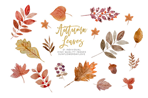 Watercolor autumn leaves ClipArt in Illustrations - product preview 1