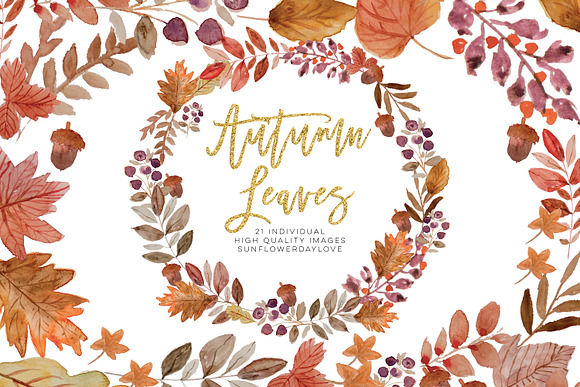 Watercolor autumn leaves ClipArt in Illustrations - product preview 2
