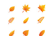 Autumn Leaves vector set