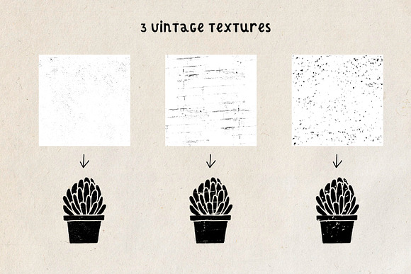 Potted Plants | Patterns & Extras in Illustrations - product preview 5