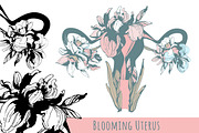 Blooming reproductive system uterus