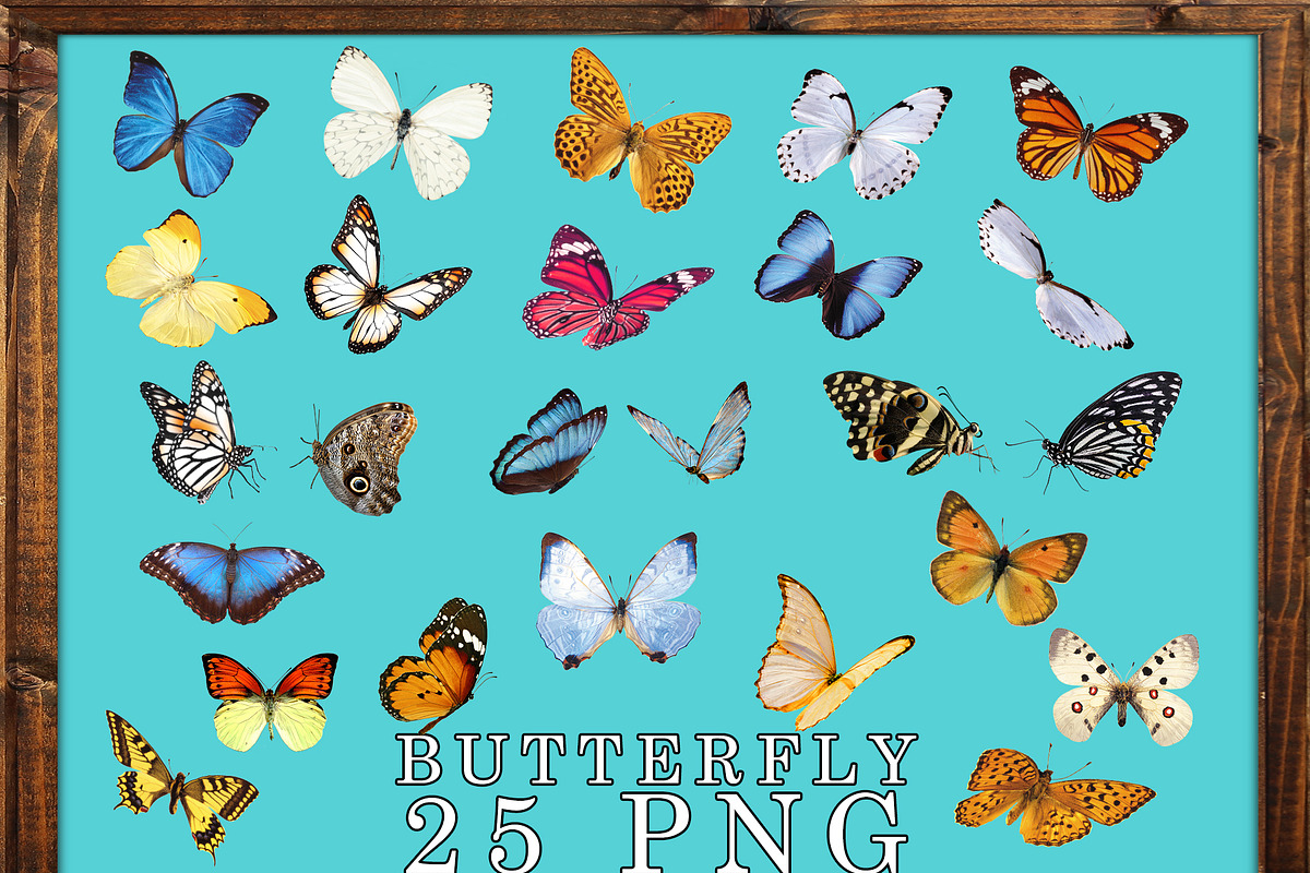 25 Butterflies Photo Overlays in Objects - product preview 8
