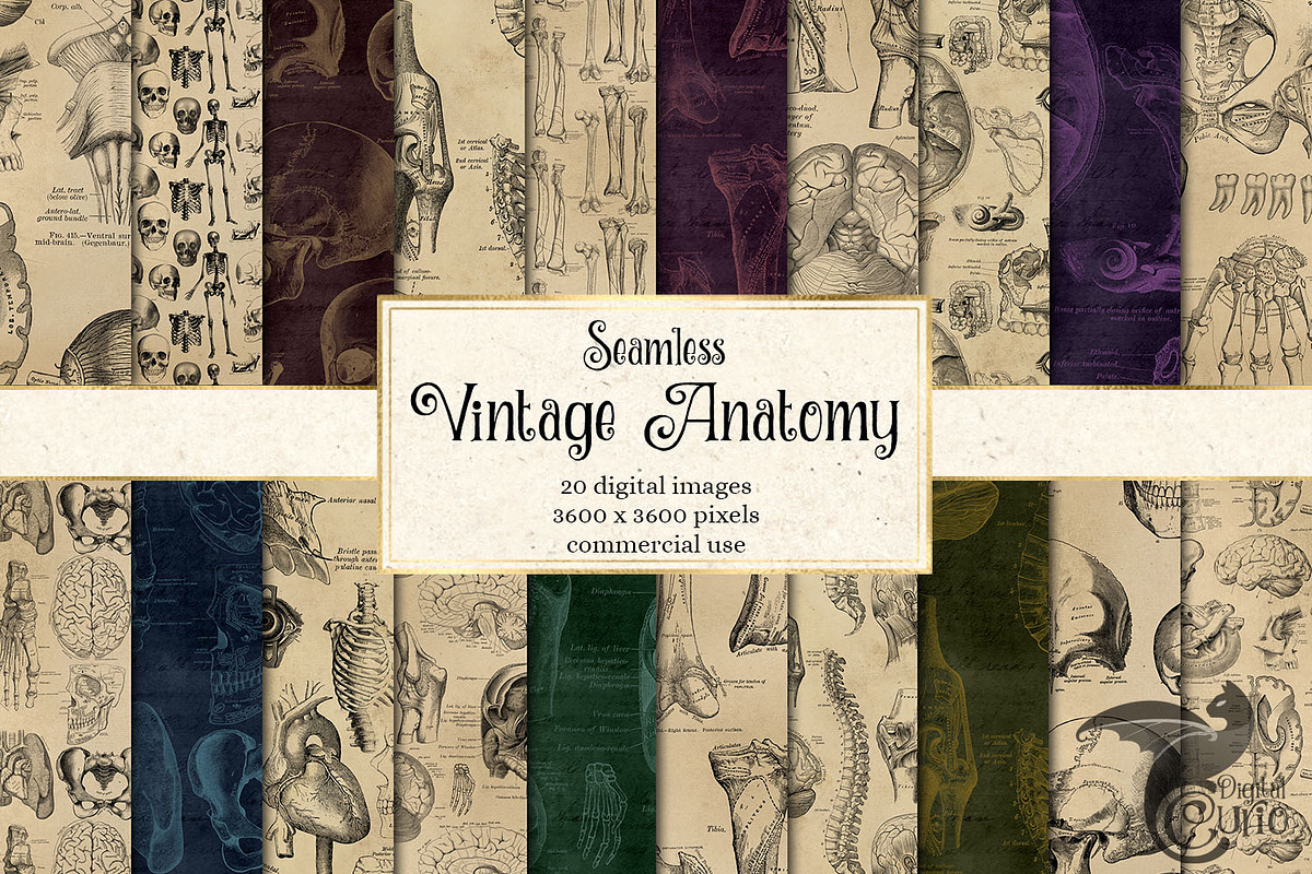 Vintage Anatomy Digital Paper in Patterns - product preview 8
