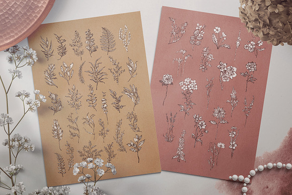 Touch of Nature Collection in Illustrations - product preview 1