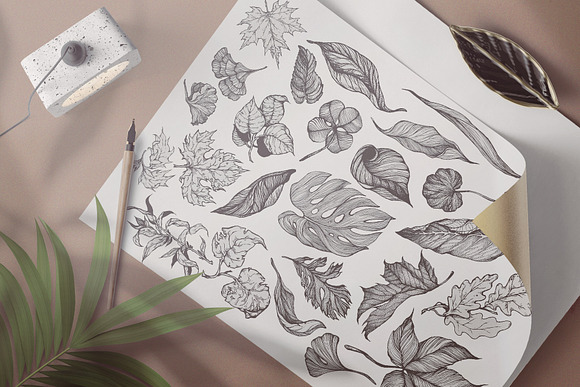 Touch of Nature Collection in Illustrations - product preview 3