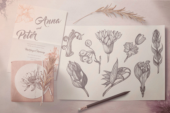 Touch of Nature Collection in Illustrations - product preview 9