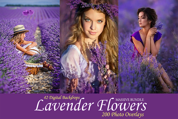 200 Lavender Photo Overlays BUNDLE