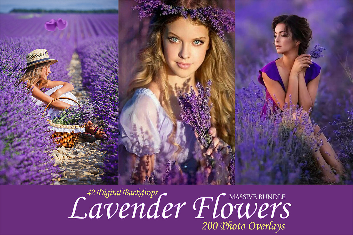 200 Lavender Photo Overlays BUNDLE in Objects - product preview 8