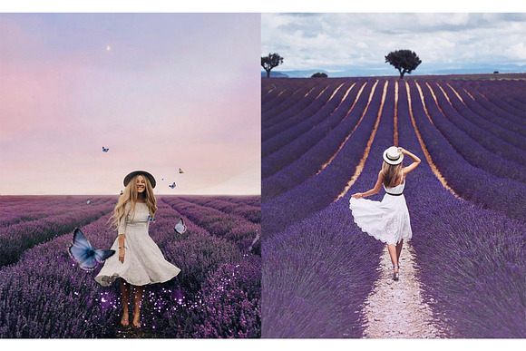 200 Lavender Photo Overlays BUNDLE in Objects - product preview 3