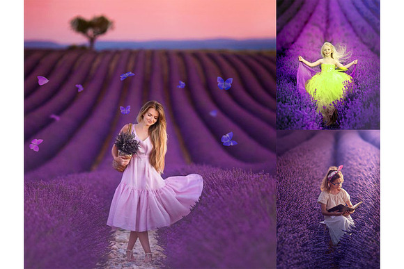 200 Lavender Photo Overlays BUNDLE in Objects - product preview 4