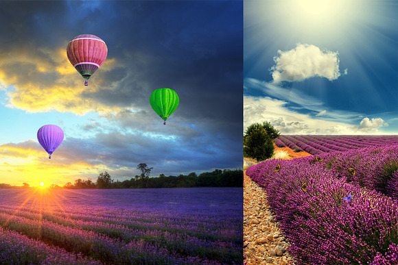 200 Lavender Photo Overlays BUNDLE in Objects - product preview 6