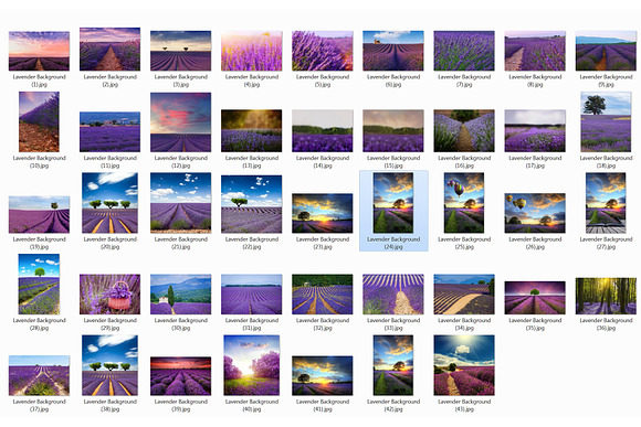 200 Lavender Photo Overlays BUNDLE in Objects - product preview 10