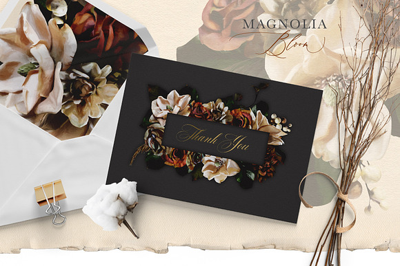 Magnolia Bloom Flowers & Monograms in Illustrations - product preview 9