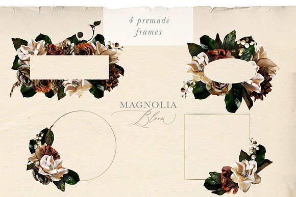 Magnolia Bloom Flowers & Monograms in Illustrations - product preview 11