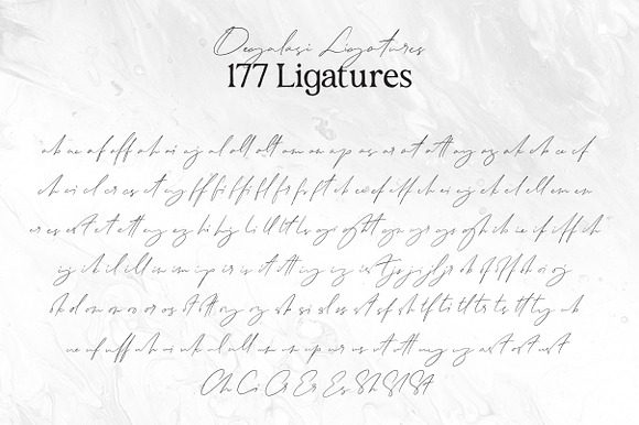Degalasi | Dramatical Collection in Script Fonts - product preview 13