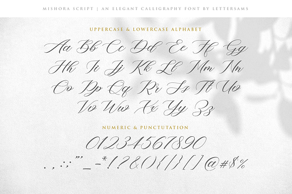 Mishora Script in Script Fonts - product preview 6