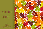 Autumn time seamless backgrounds