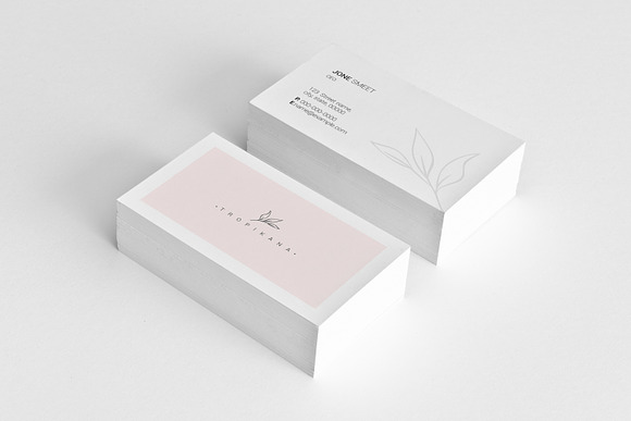 Brand Stationery Pack - Tropikana in Stationery Templates - product preview 2