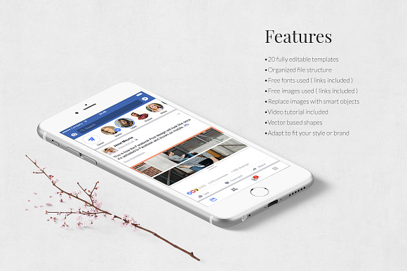 Style Facebook Posts in Facebook Templates - product preview 2
