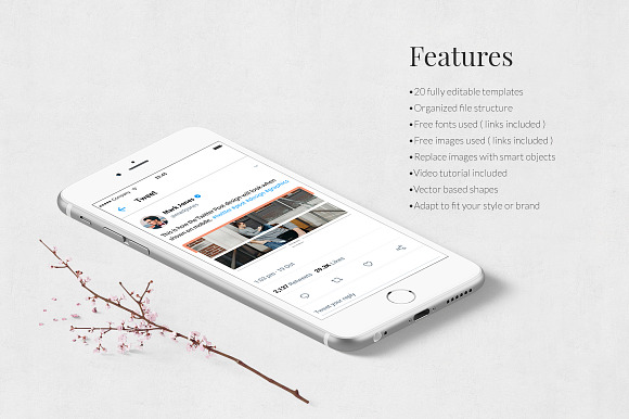Style Twitter Posts in Twitter Templates - product preview 2